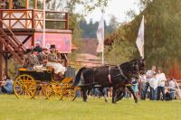 Lossburg-2016-RB-Web-008U1894